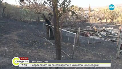 Видео - (2023-07-29 09:10:35)