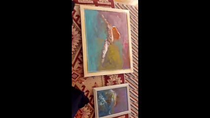 Vid_20230307_165654.mp4