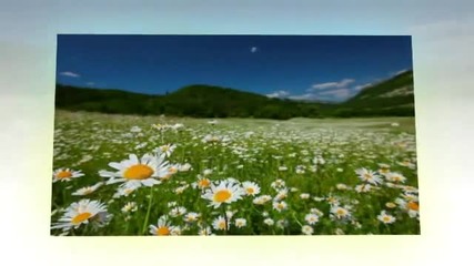 Chris Spheeris relaxing music