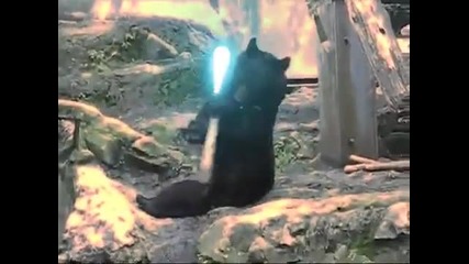 Star Wars Мечка 