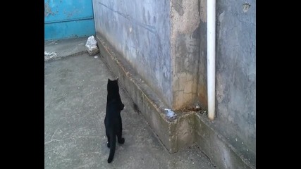 The Hunter - Дъртата :d:d:d 