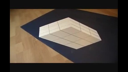 Илюзия с кубче.