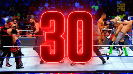 The Royal Rumble Match by the numbers