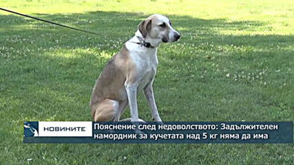Пояснение след недоволството: Без намордник за кучетата над 5 кг