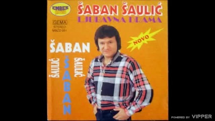 Saban Saulic - U nadanju zivi se i mre - (Audio 1994)