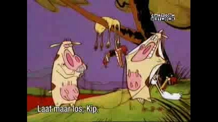 Cow Chicken - Boneless Kite