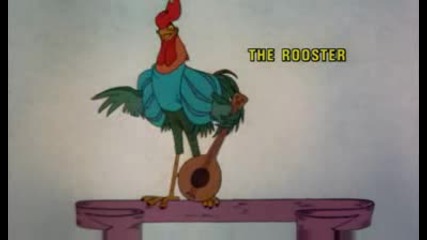 Робин Хут