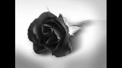 Luca Turilli Dreamquest - Black rose 