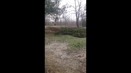Градушка в Луковит