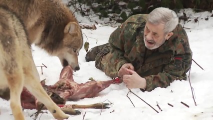 Живот сред дивите вълци, този човек има какво да разкаже.