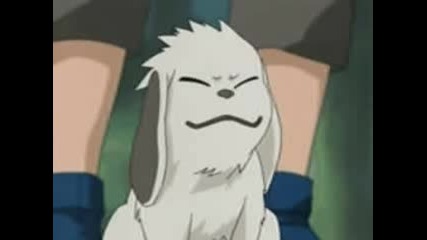 Akamaru Scooby Doo And Pakkun