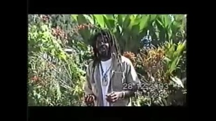 A very professional tourist guide - Bob Marley Museum - Zion Jamaica 