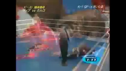 Mirko Cro Cop Vs. Bob Sapp (hq)