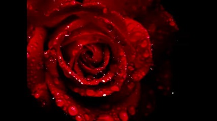 Roni Benise ~ corazon
