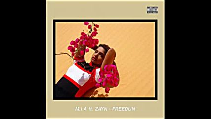 *2016* m.i.a. ft. Zayn Malik - Freedun