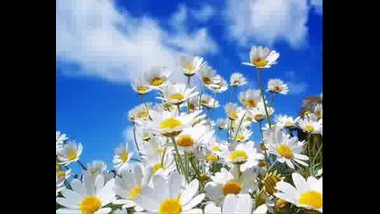 Collie Buddz - Come Around (radio Version)