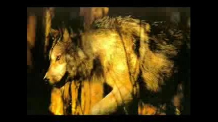 Three 6 Mafia - Wolf Wolf 
