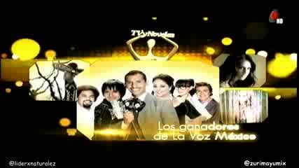 Анаи-номинирана за наградите Tvynovelas