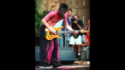 Limp Bizkit (wes Borland)
