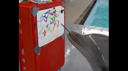Делфин рисува!