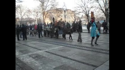 Kukeri Batanovci v Pernik 4 