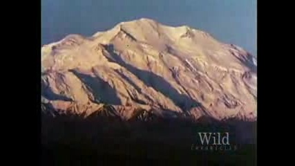 Mining The New American West.flv