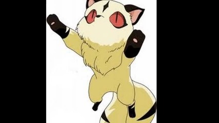 cats