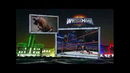 Undertaker Vs Edge - Wrestlemania 24 Part 2