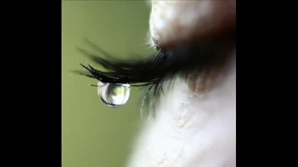 za teb.wmv