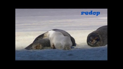 Красотата на природата !!!