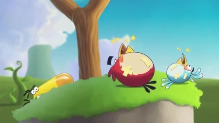 Angry Birds Summer pignic