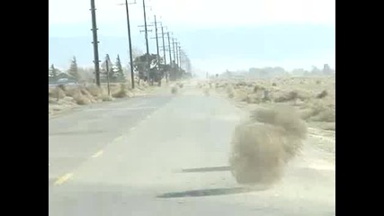 Нещо странно! Спрете звука, ако ви пречи! 