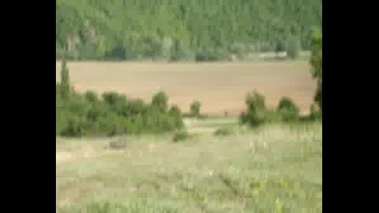 Moto Cross Mamboracing 4