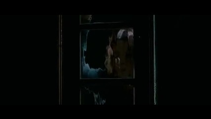 Свободни стаи 2007