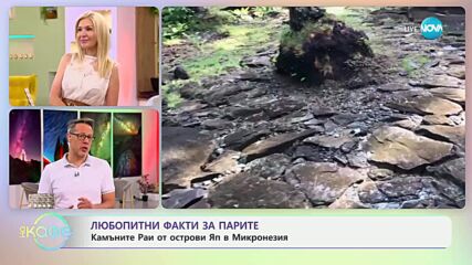 Владо Николов: Любопитни факти за парите - „На кафе“ (12.06.2025)