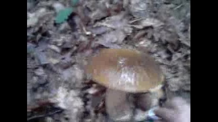 016