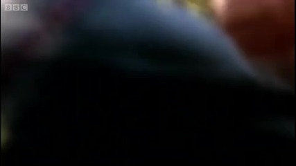 Мечове и копия от 1700 г. пр.н.е. - Хоризонт - Тайните на Stardisc - Би Би Си 