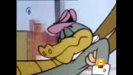 Wally Gator - 1x02 - Gator - Napper