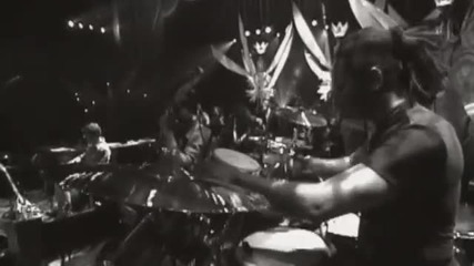 Shakira - Moscas En La Casa (live Video)