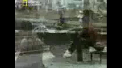 4ernobil