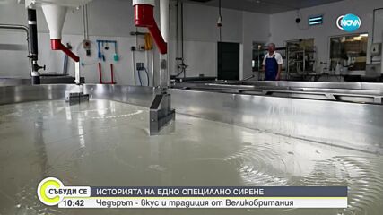 Чедър от село Чедър: Историята на едно от най-популярните сирена в света (ВИДЕО)