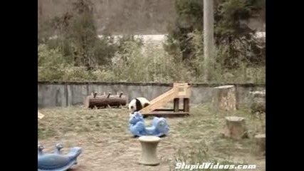 Колкото и да се опитва не може 