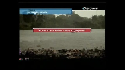 Discovery channel River monsters Congo killer bg audio 5