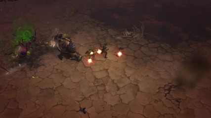 Diablo I I I - The Witch Doctor