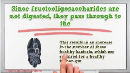 Yacon Syrup Plus Weight Loss Review of Benefits From Yacon Syrup Plus