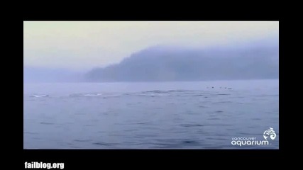 Случайно заснето 