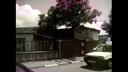 Alim1453.avi
