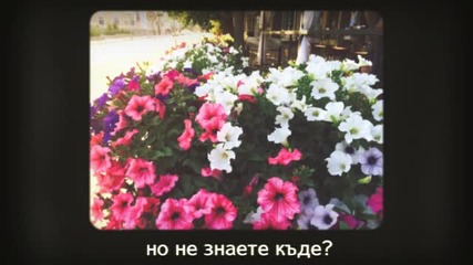 Клуб City