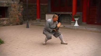 Warriors of China - The Movie. Chinese Martial Arts