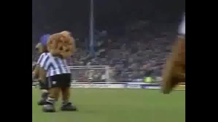 20 Funny moment in football